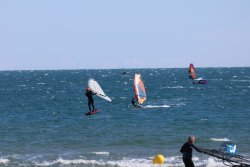 20240914-Franqui-157.jpg