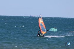 20240914-Franqui-160.jpg