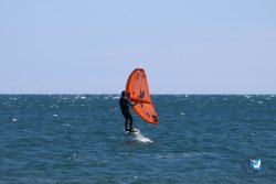 20240914-Franqui-162.jpg