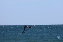 20240914-Franqui-164.jpg