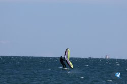 20240914-Franqui-169.jpg