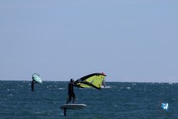 20240914-Franqui-171.jpg