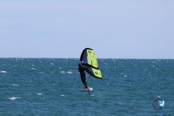 20240914-Franqui-178.jpg