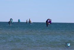 20240914-Franqui-192.jpg