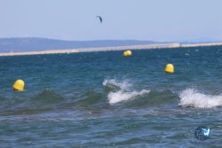20240914-Franqui-229.jpg