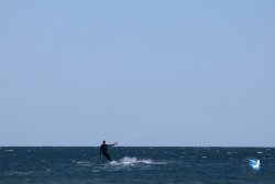 20240914-Franqui-235.jpg