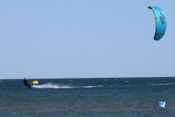 20240914-Franqui-238.jpg