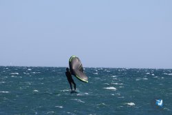20240915-Franqui-004.jpg