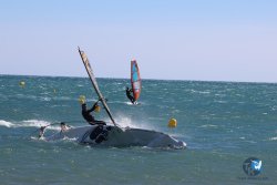 20240915-Franqui-012.jpg