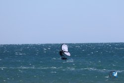 20240915-Franqui-024.jpg