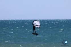 20240915-Franqui-029.jpg
