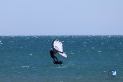 20240915-Franqui-032.jpg