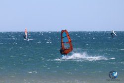 20240915-Franqui-033.jpg
