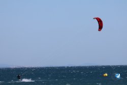 20240915-Franqui-038.jpg