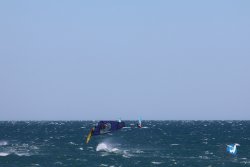 20240915-Franqui-039.jpg