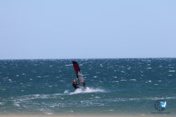 20240915-Franqui-041.jpg