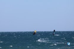 20240915-Franqui-042.jpg