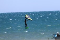 20240915-Franqui-043.jpg
