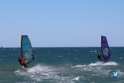 20240915-Franqui-050.jpg