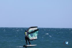 20240915-Franqui-055.jpg