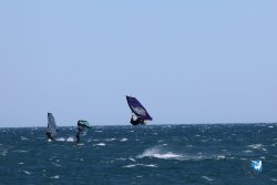 20240915-Franqui-119.jpg
