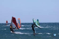 20240915-Franqui-126.jpg