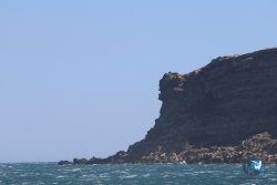 20240915-Franqui-251.jpg