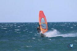 20240915-Franqui-264.jpg