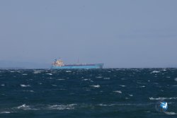 20241004-Franqui-bump-110.jpg