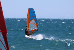 20241004-Franqui-bump-130.jpg