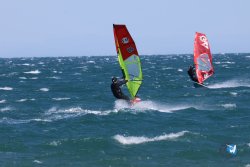 20241004-Franqui-bump-133.jpg