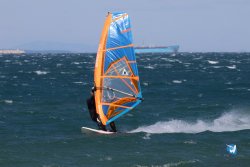 20241004-Franqui-bump-139.jpg