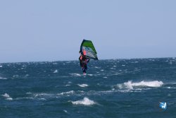 20241004-Franqui-bump-154.jpg