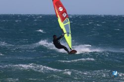 20241004-Franqui-bump-186.jpg