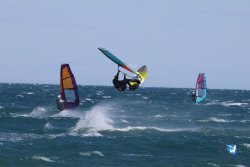 20241004-Franqui-bump-209.jpg