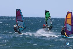 20241004-Franqui-bump-234.jpg