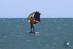 20241110-franqui-001.jpg