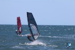 20241110-franqui-003.jpg
