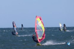 20241110-franqui-006.jpg