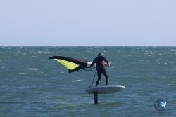 20241110-franqui-016.jpg
