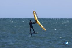 20241110-franqui-018.jpg