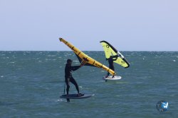 20241110-franqui-019.jpg