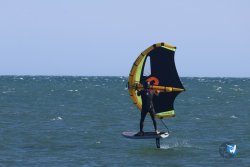 20241110-franqui-029.jpg