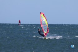 20241110-franqui-034.jpg