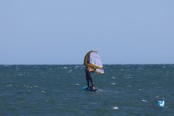 20241110-franqui-036.jpg