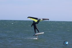20241110-franqui-085.jpg