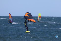 20241110-franqui-174.jpg