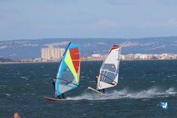 20241110-franqui-184.jpg