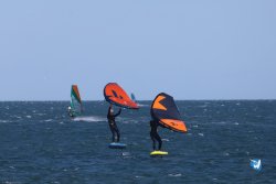20241110-franqui-185.jpg