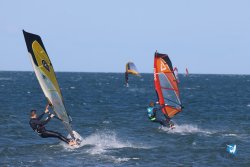 20241110-franqui-246.jpg